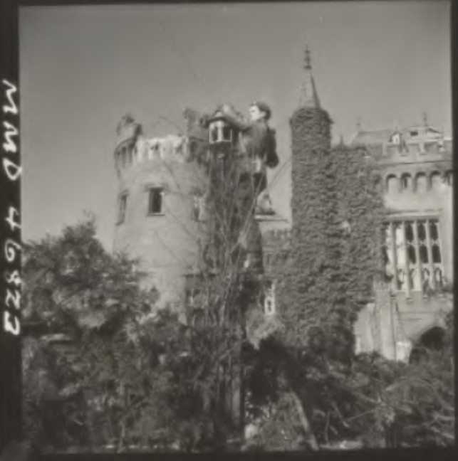 Project '44 tweet media