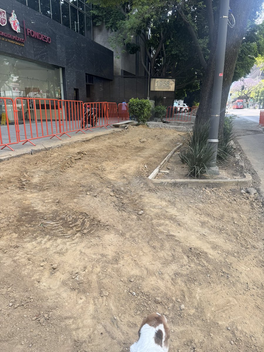 Carlos Ramírez F. tweet media