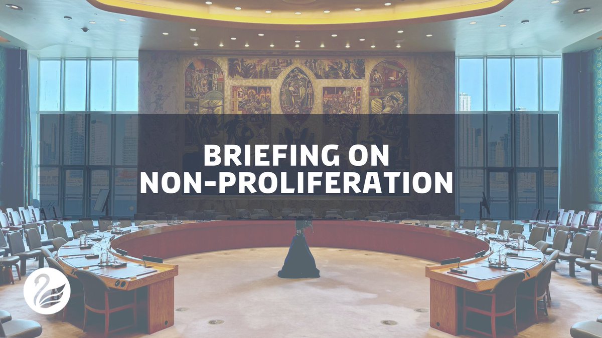 Denmark in UN NY🇩🇰 tweet media