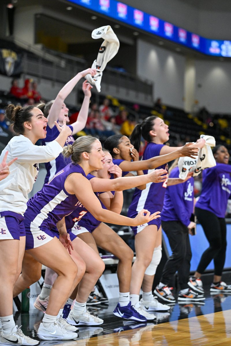 Robyn Scherr tweet media