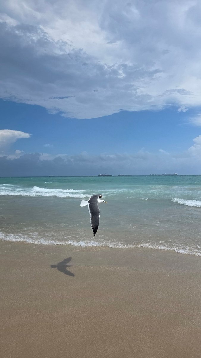 Dr. Christopher T. Duncan tweet media