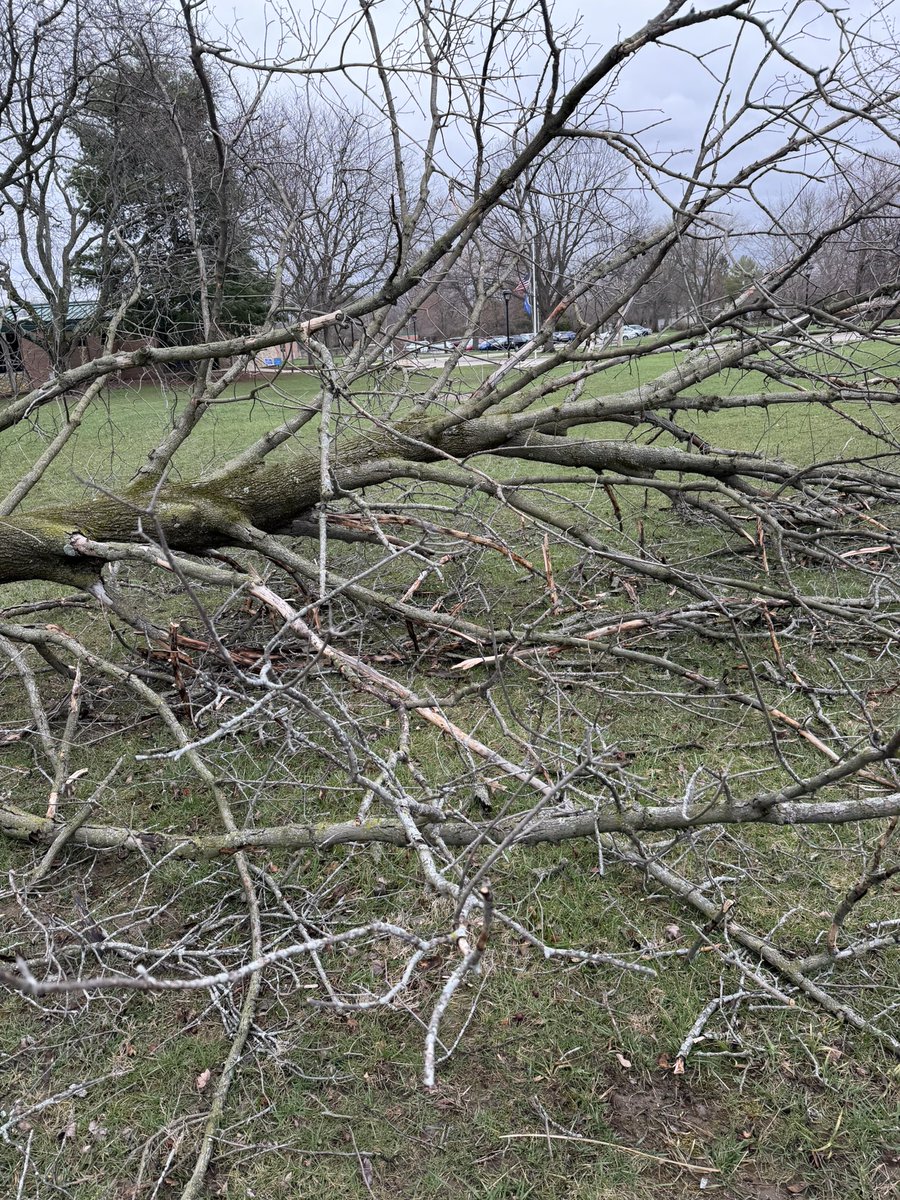 The Grounds Department tweet media