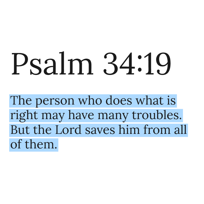 Holy Bible tweet media