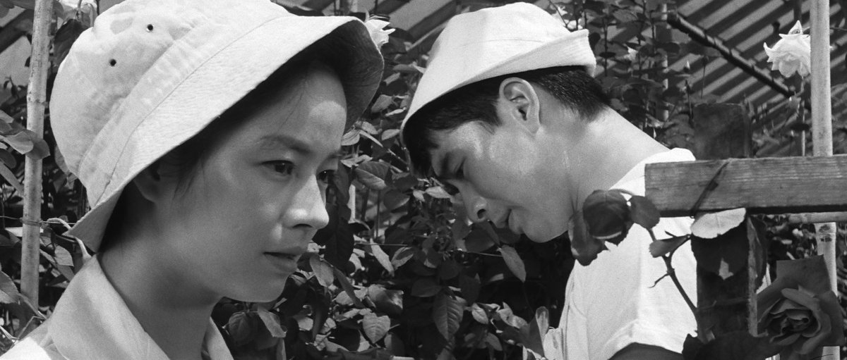 Carlotta Films tweet media