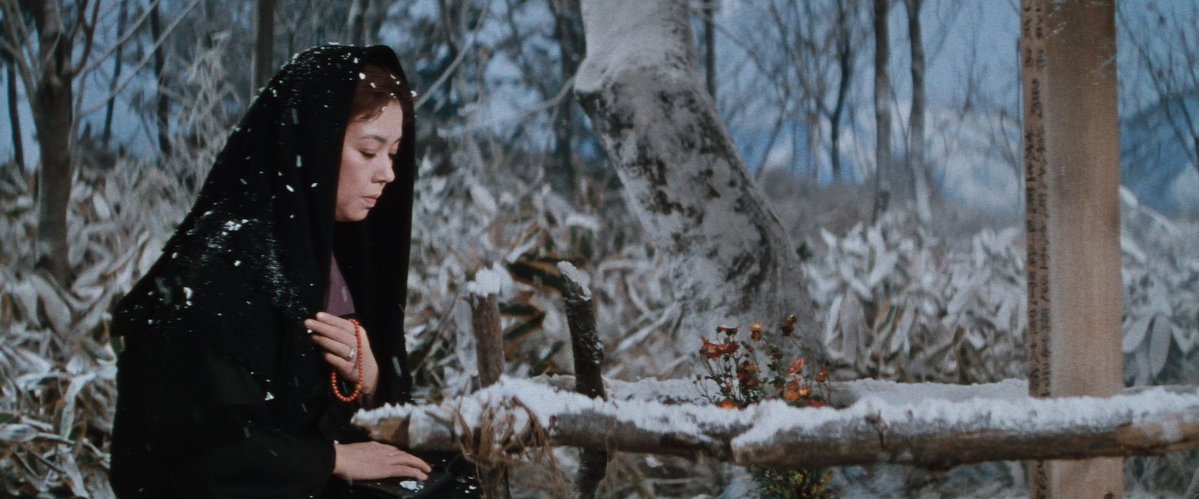 Carlotta Films tweet media