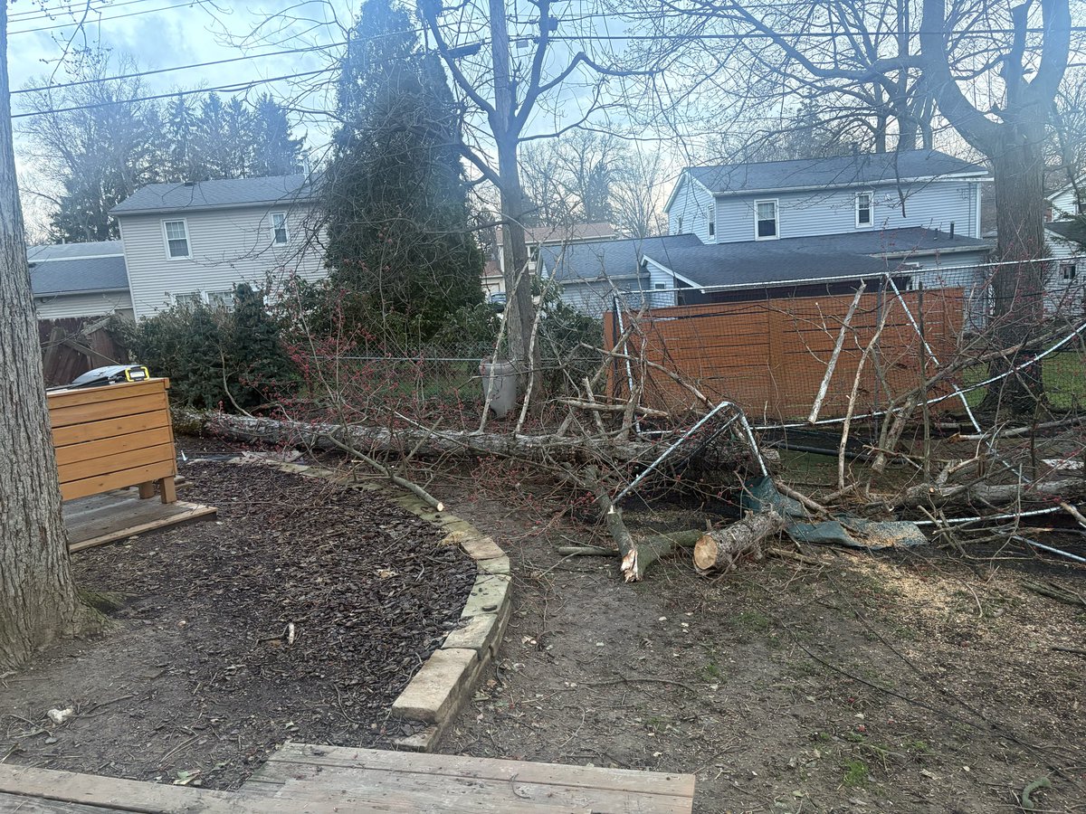 This is what it looks like Before/After <a href="/cityofcf/">Cuyahoga Falls</a> calls out <a href="/DaveyTree/">Davey Tree Expert Co</a> to remove a tree over  lines.  If <a href="/DaveyTree/">Davey Tree Expert Co</a> would have secured it they would have been back out Thurs Morning to “Safely” remove it as opposed “Unsafely” dropping it Wednesday night.  No response 5 days later
