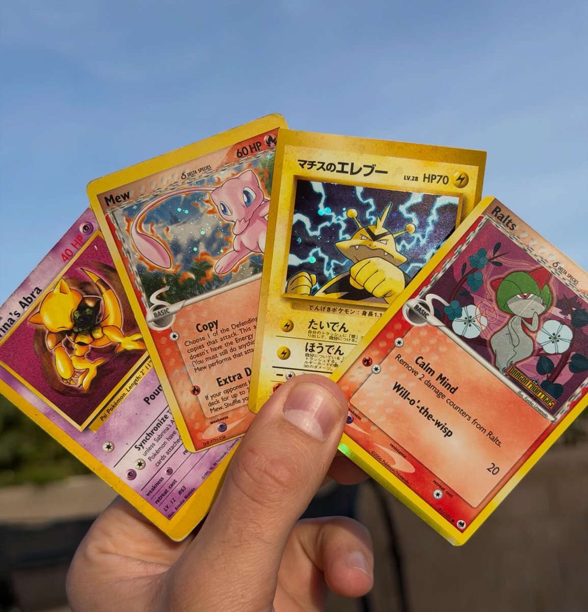 pokemachooch tweet media