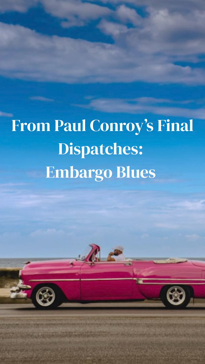 Noosphere tweet media