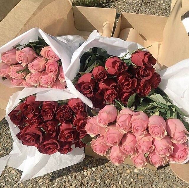 Sihun and his group are sending flowers to <a href="/TenshiNoBokaru/">‍ ‍ ‍‍ ‍ ‍ ‍ ‍‍‍ ‍ ‍ ❁ ) 𝓢𝒂𝒌𝒖𝒓𝒂 𓂃. . .</a>, <a href="/prettyintights/">𝓛𝓲𝓵𝓪.</a>, and <a href="/JomyakuKosho/">‍ ‍ ‍‍ ‍ ‍ ‍ ‍‍‍ ‍ ‍ ‍ ‍𔘓 ── ℳ . 🌙</a> to congratulate them on their Oscar performance and win.