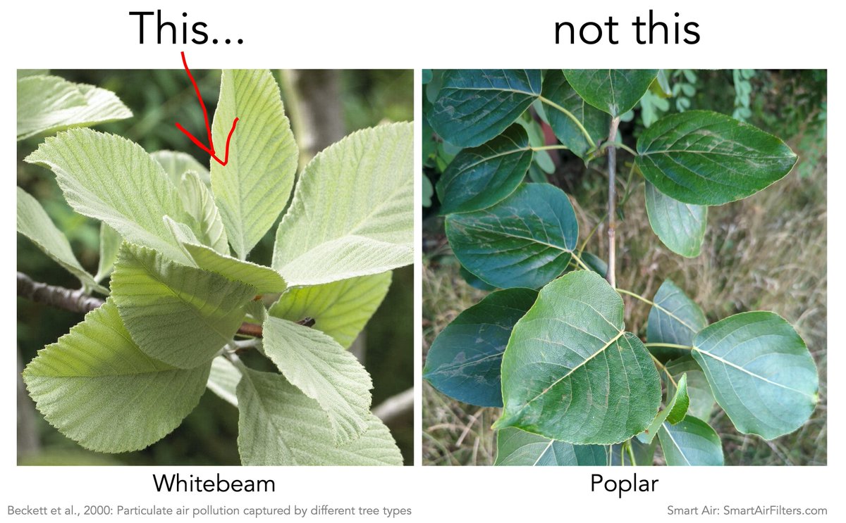 Smart Air tweet media