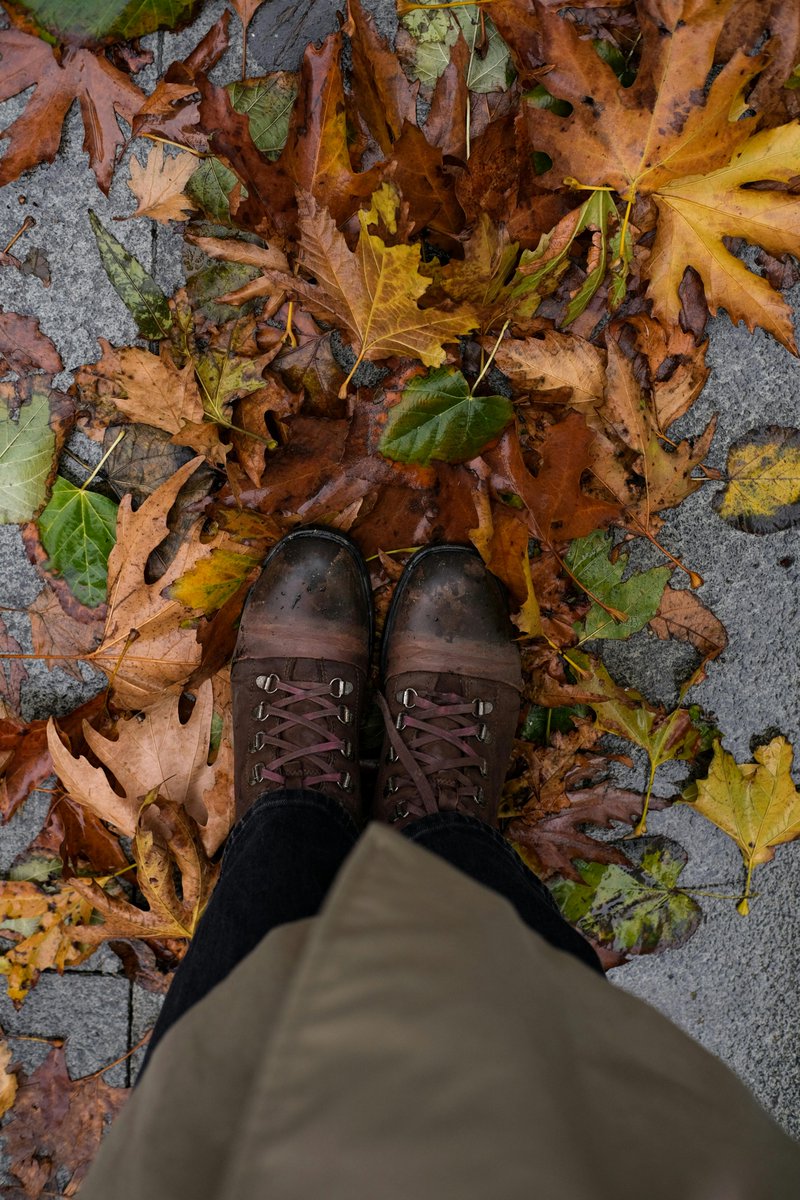 Ξ Η⊶ ┯ Ξ Η⊶ ┯μ Η μ tweet media