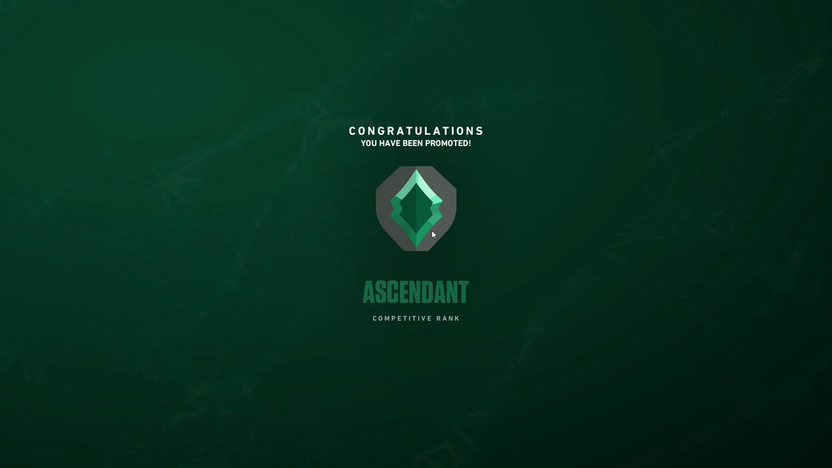 NotFreezy tweet media