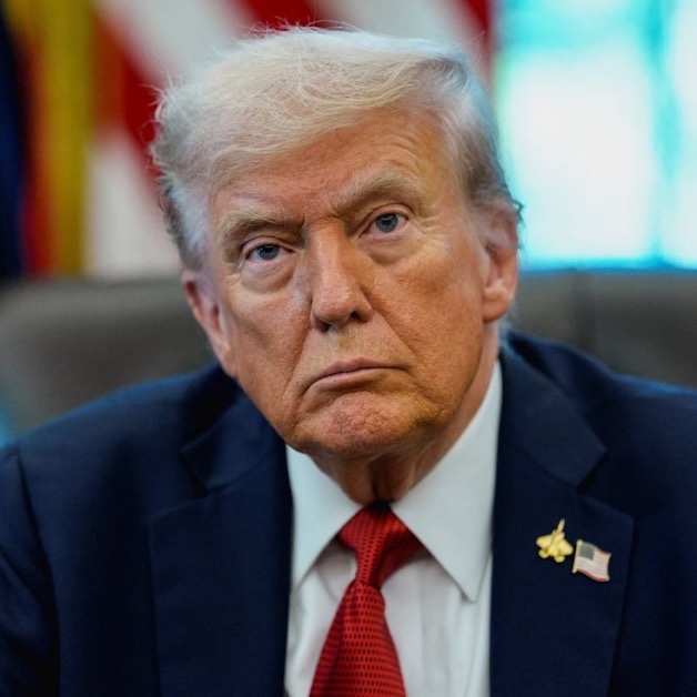 CryptoGoos tweet media