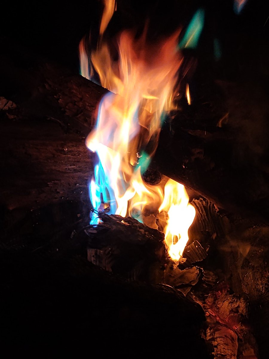 CryptoGamecock tweet media