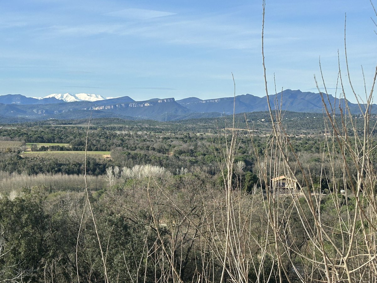 Pere Alzina tweet media