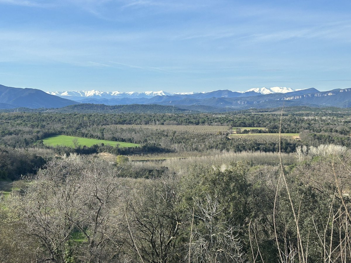 Pere Alzina tweet media