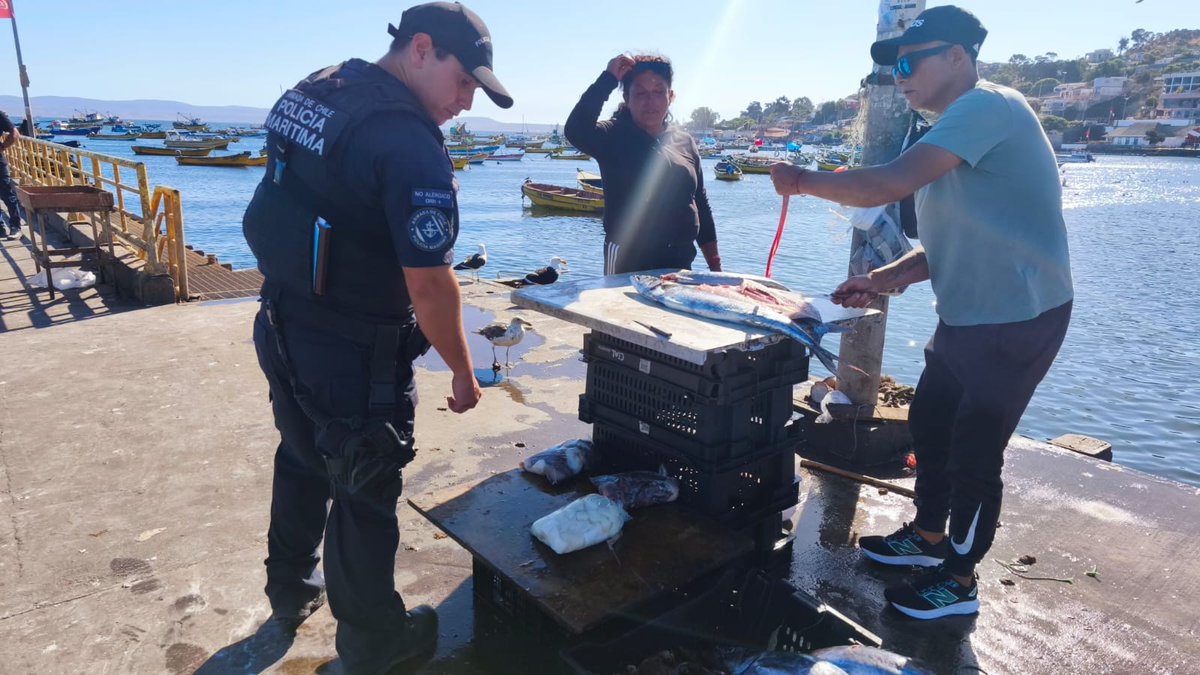 Armada_Chile's tweet photo. Capitanía de Puerto de Tongoy, junto a  @municoquimbo, realizó patrullajes y fiscalización en Caleta de Tongoy, borde costero, Península, Estero de Tongoy y Puerto Aldea

#ArmadaPorChile https://t.co/0rv1je0GFG