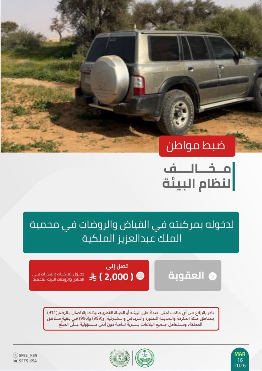 الخط الأخضر tweet media