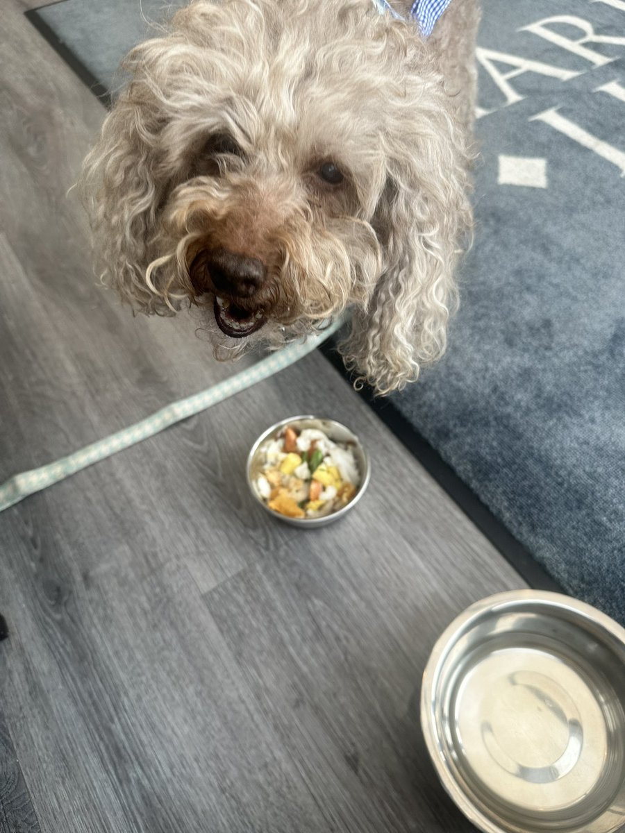 Steph Shilton tweet media