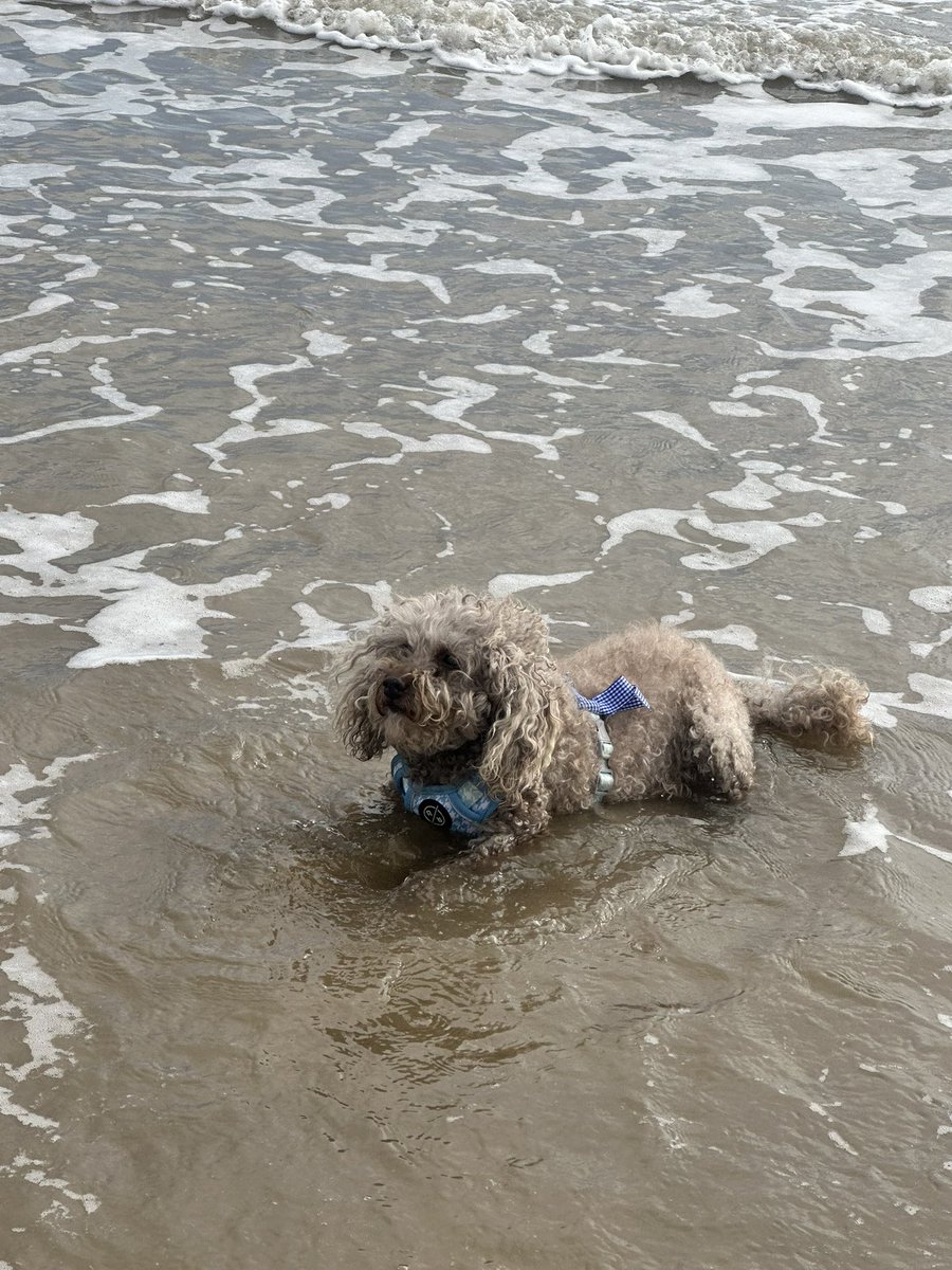 Steph Shilton tweet media