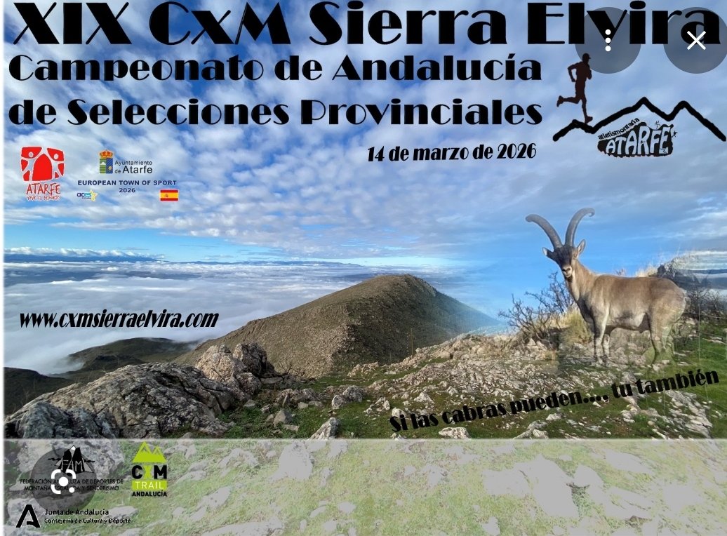 C.D SEUR RUNNING GRANADA tweet media