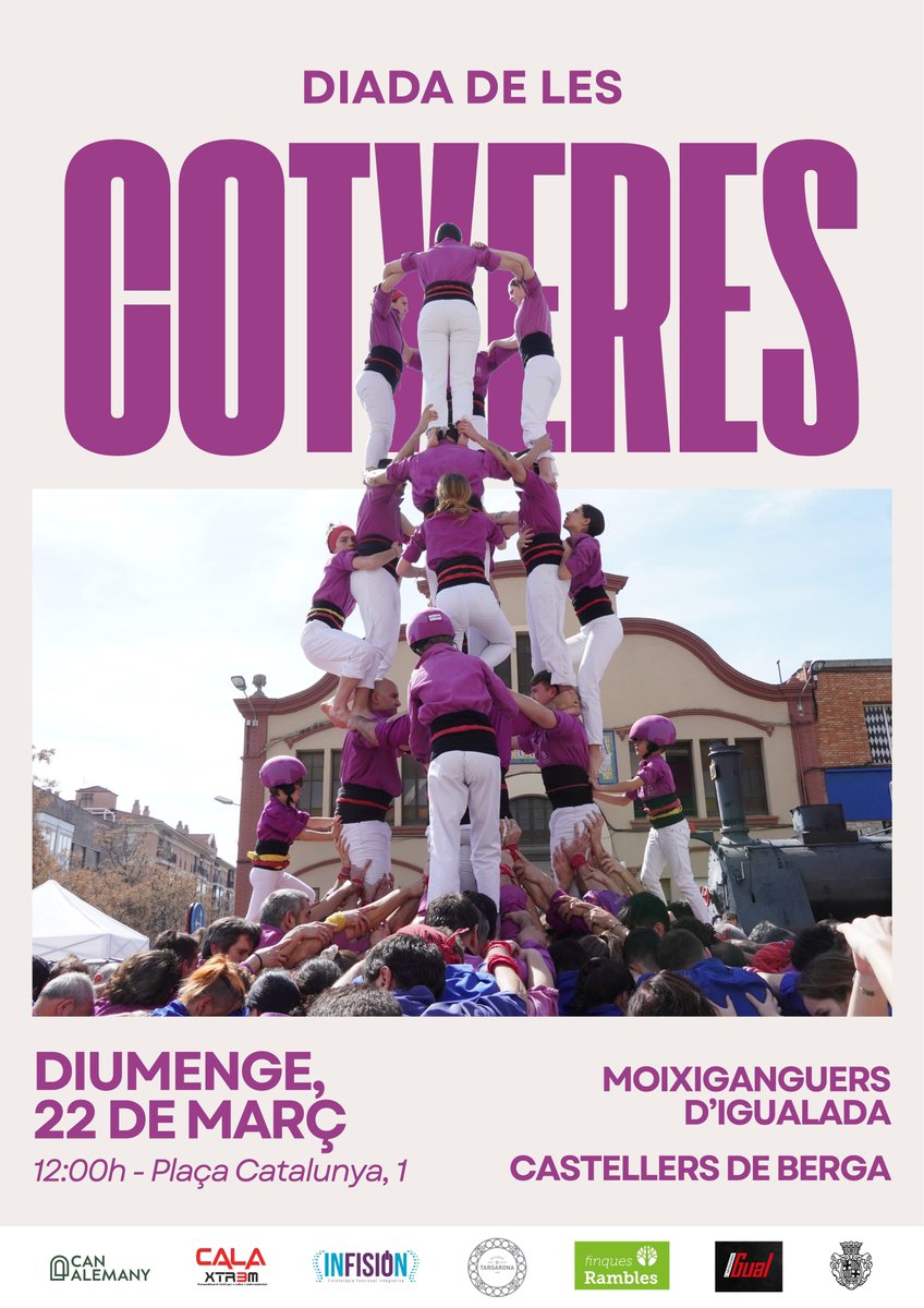 Moixiganguers d'Igd tweet media