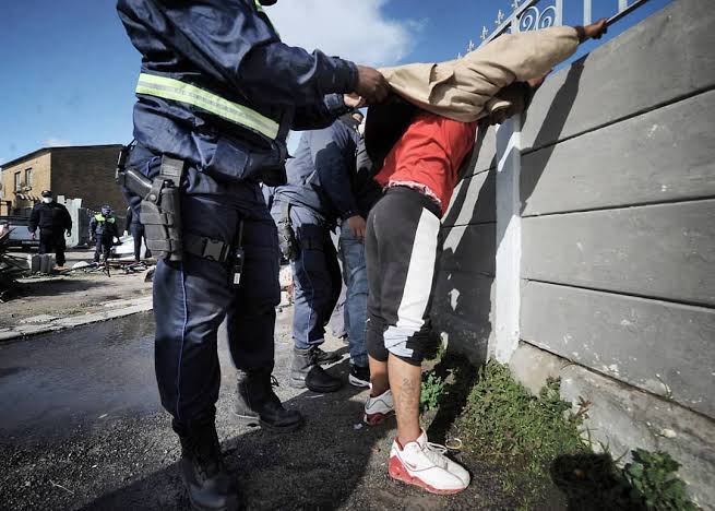 @encientLu tweet media