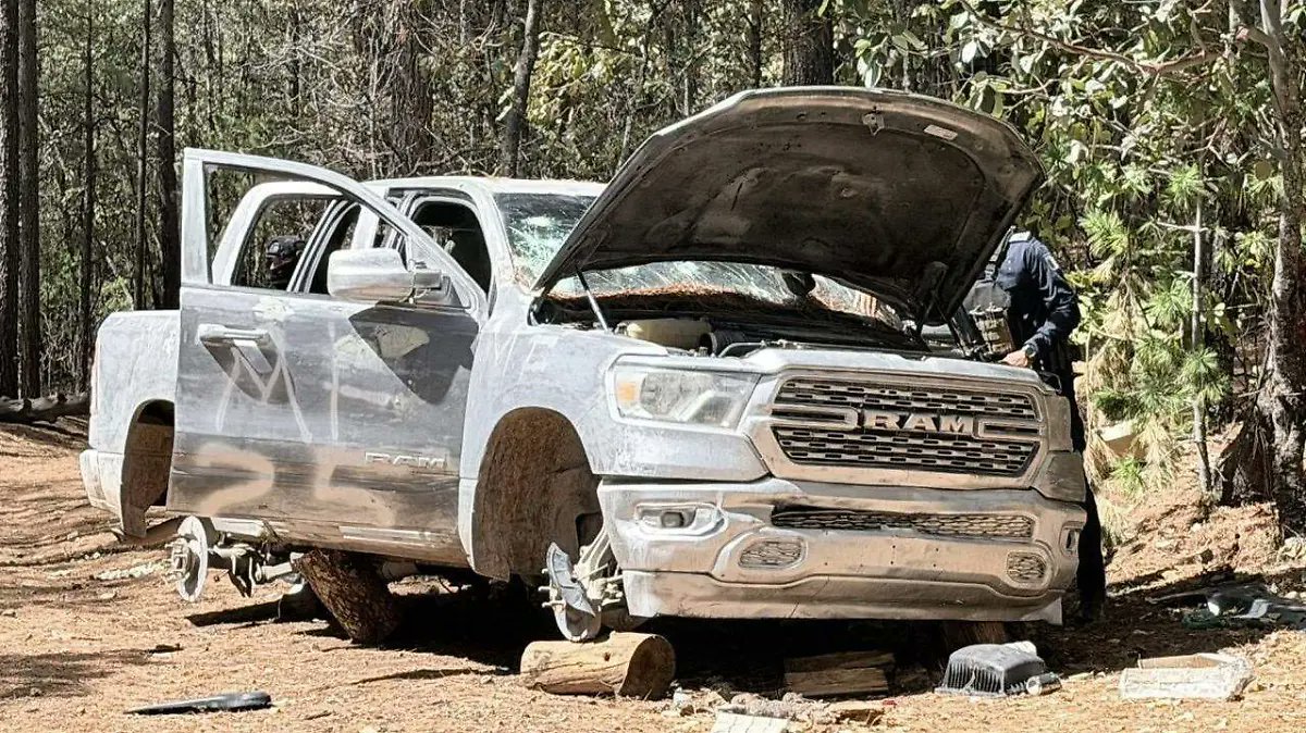 El Sol de Parral tweet media