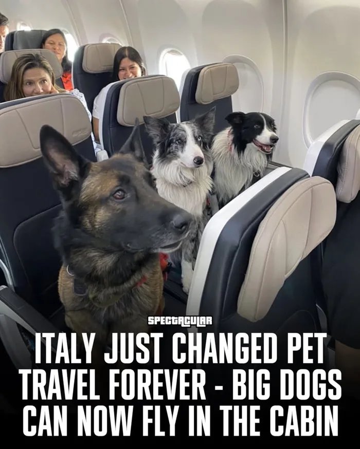 A Great American! 🇺🇸 & 🔥 tweet media