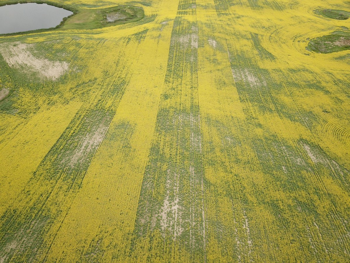 Brock Shearer tweet media