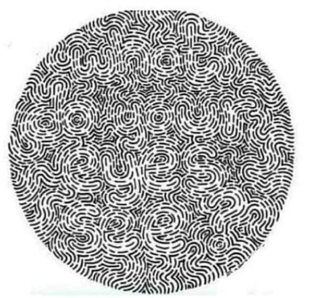 Fan Mazi Tuunde tweet media