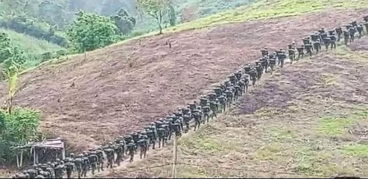 Kivu Info/24 tweet media