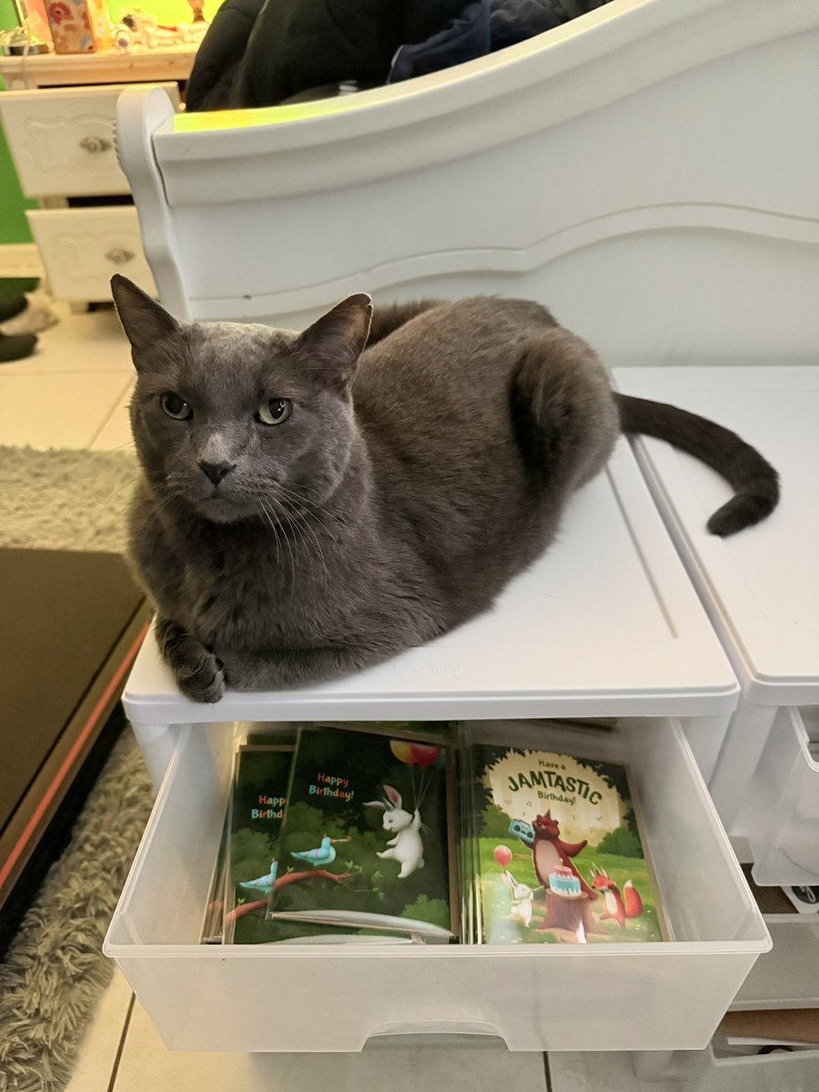 Paloma McClain tweet media