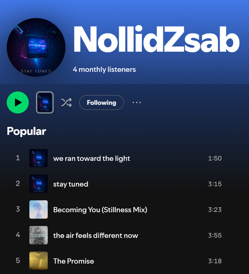 NollidZsab tweet media