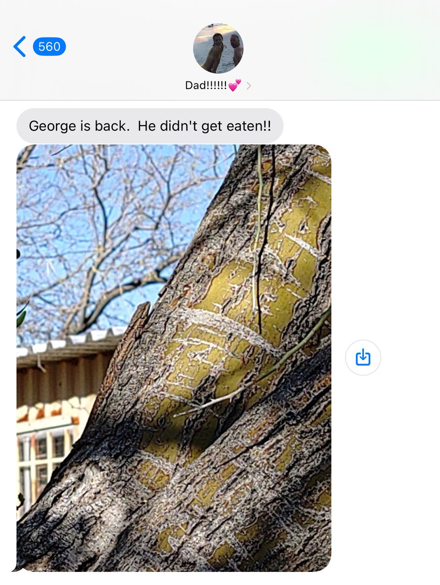 Sav Shawz tweet media