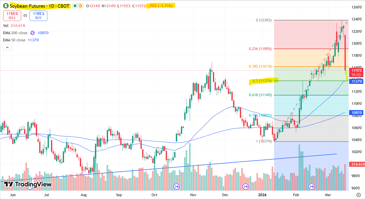 Francisco Spika tweet media