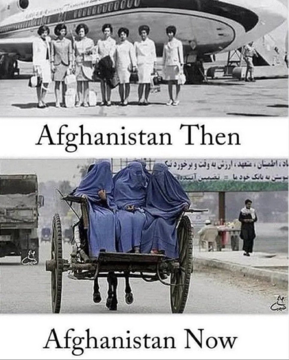 I'm not saying Islam is a backwards satanic death cult that drags society back to prehestoric times,

Okay,

That's precisely what I'm saying.