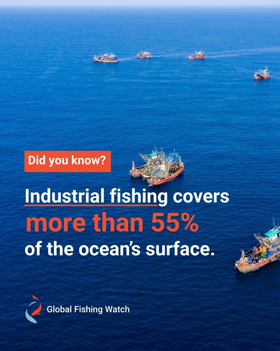 Global Fishing Watch tweet media