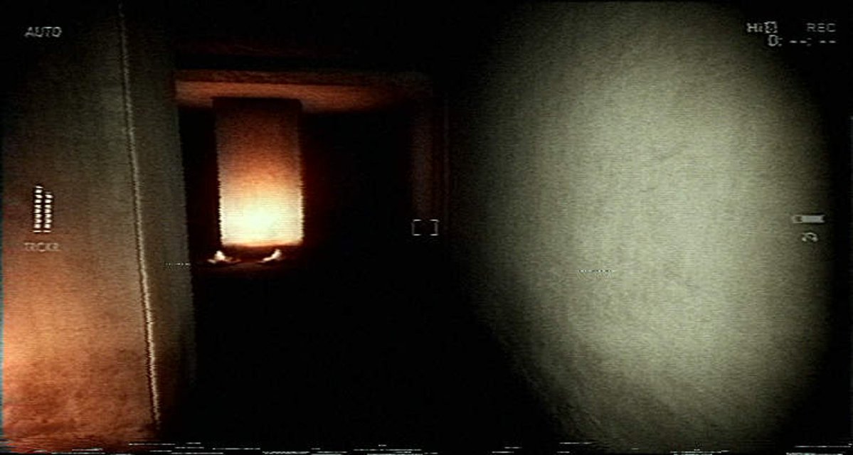 Digital Raven tweet media