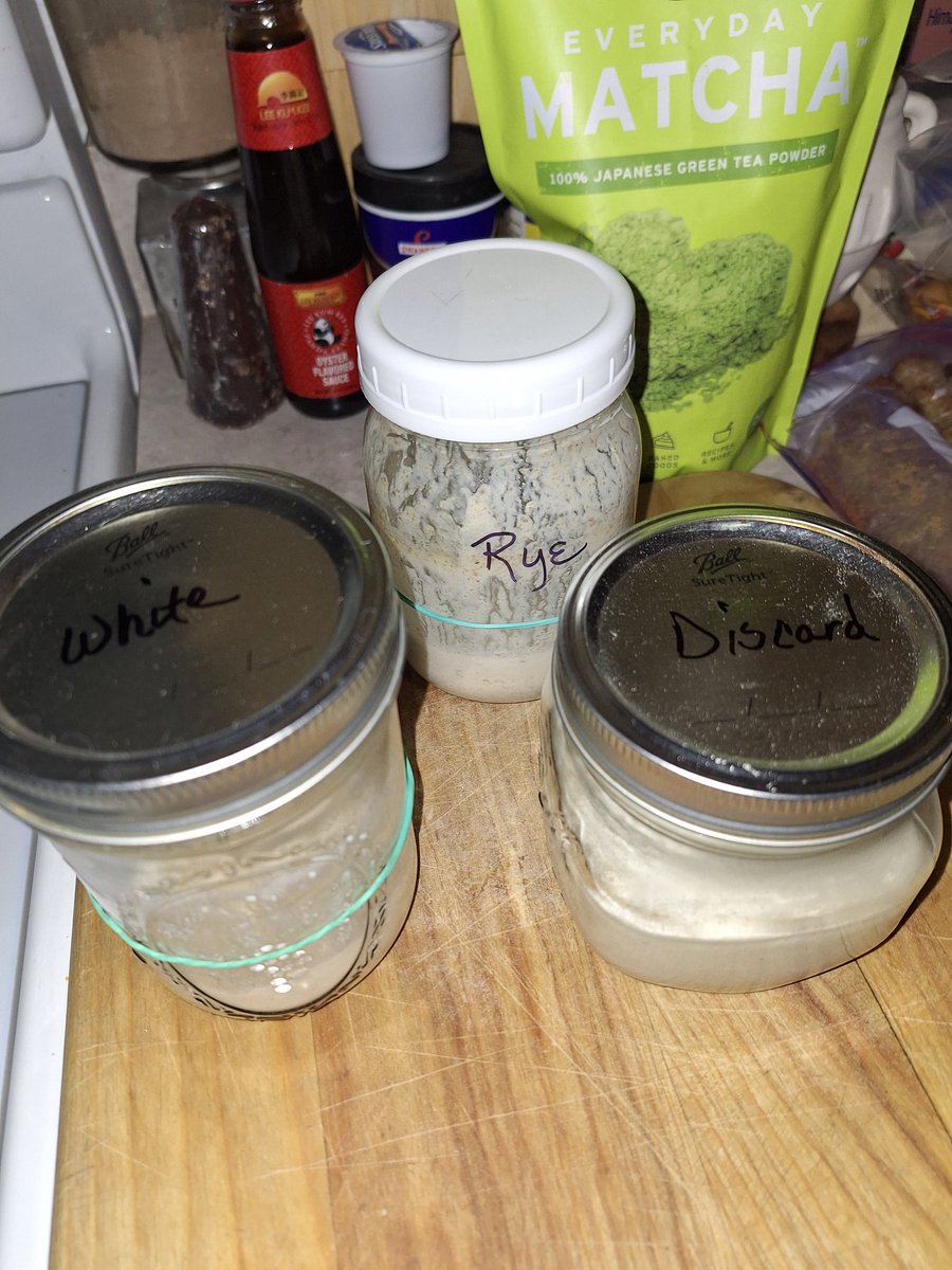 Shelby 🟧 ☮️ 🪷Thor's GIF Queen tweet media