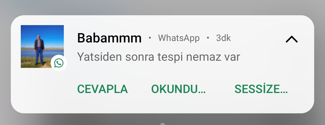benkevoo's tweet photo. +1 yeni mesaj ...😆😄
#KadirGecemizMübarekOlsun https://t.co/qSExJ5wYji