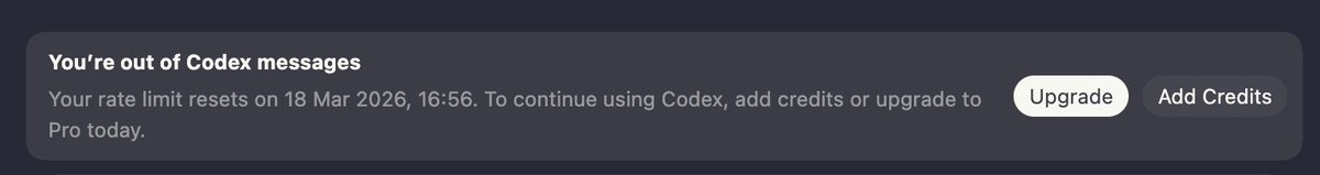 Daniele Bogo tweet media