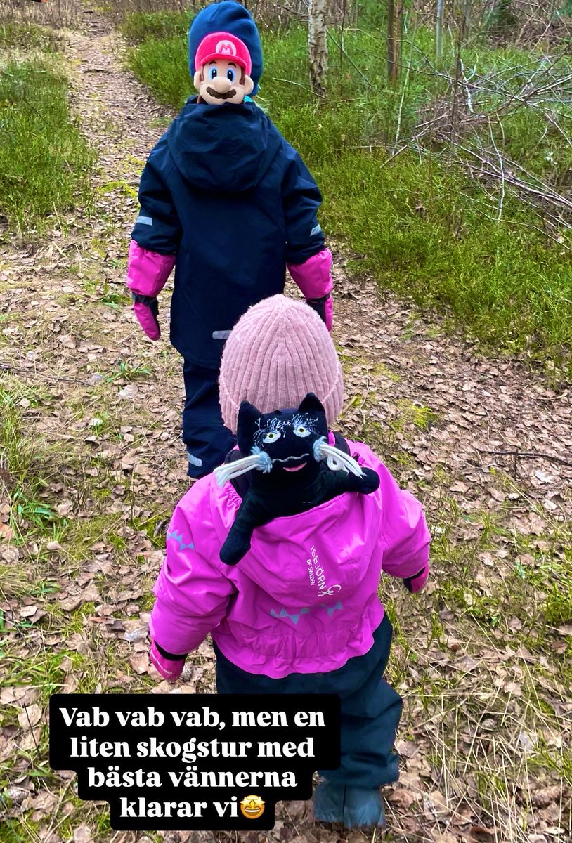 Yrellify tweet media