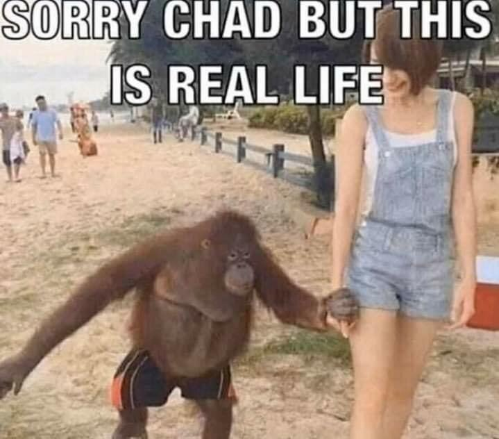 Gaper Clam tweet media