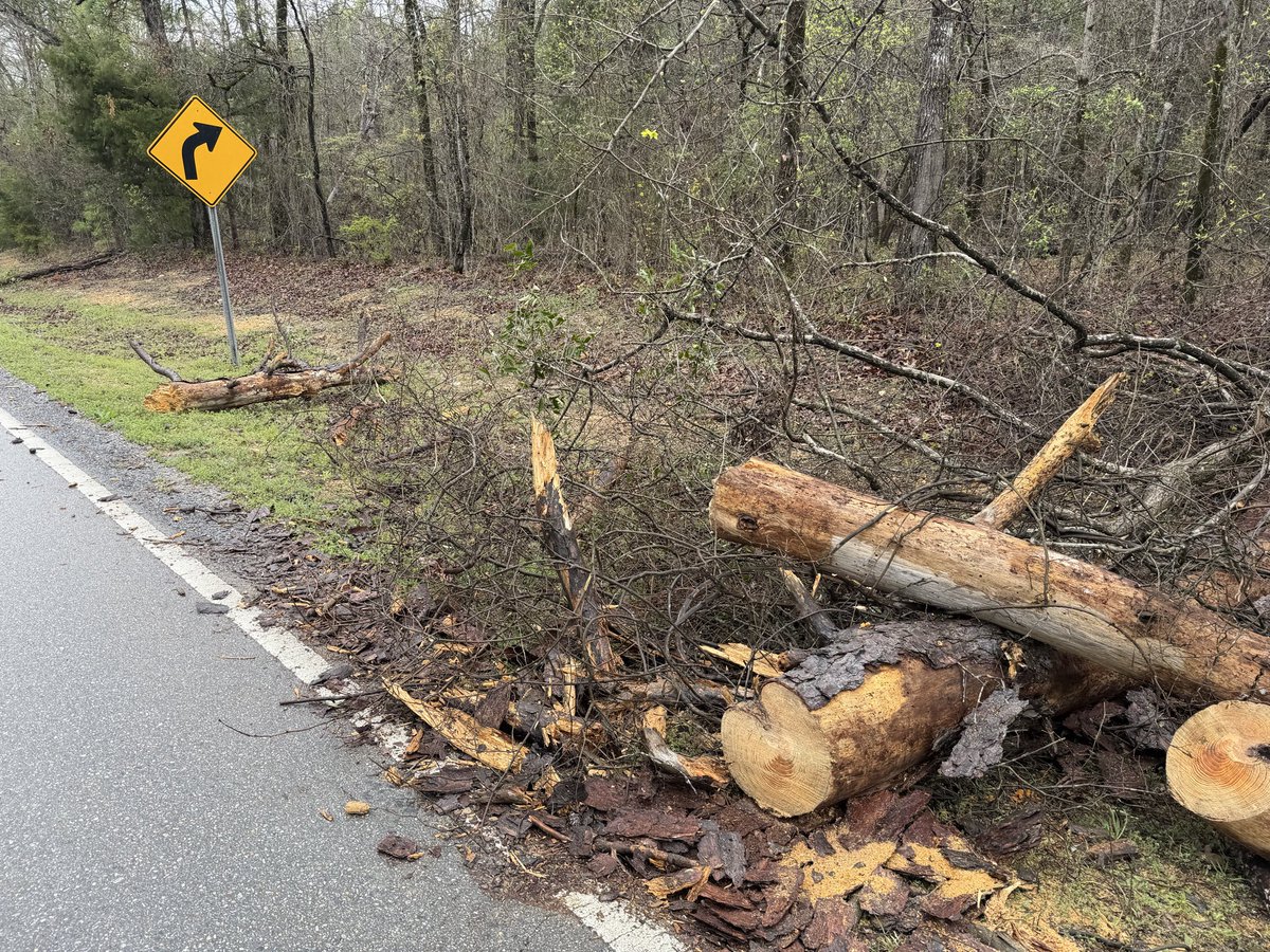 Brady Talbert tweet media