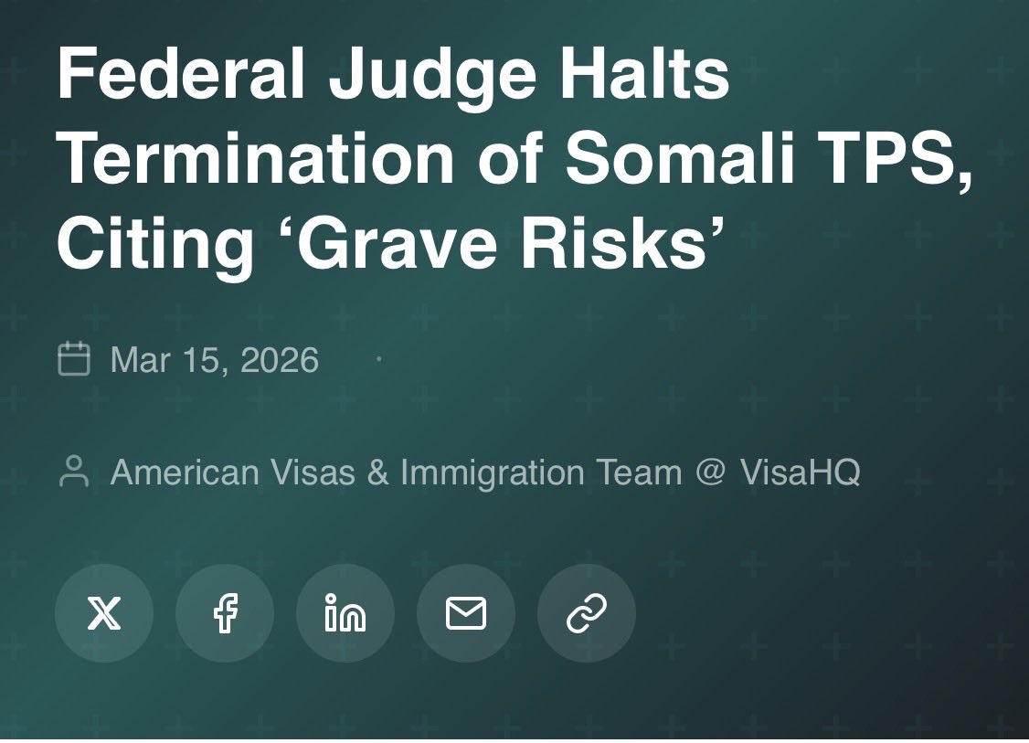 Linda Kamal tweet media