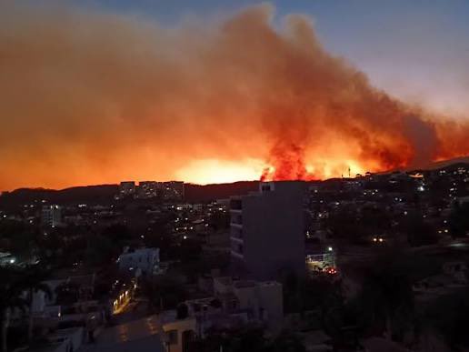 Claudia Arellano tweet media