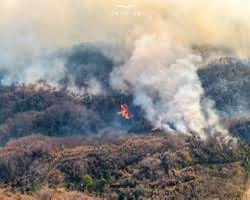 Claudia Arellano tweet media