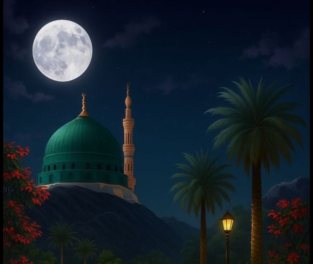 Zoni🦋 tweet media