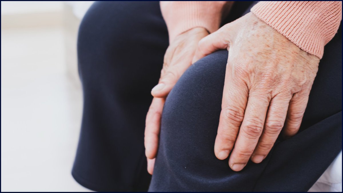 TheMTFoundation tweet media